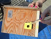 Building Instructions