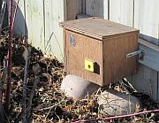 Where to put Your Bee House